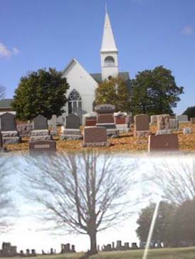 Zalmona Cemetery - 2 views