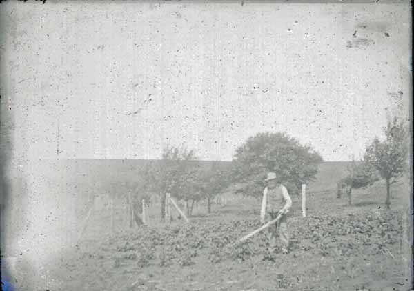 Knud Rasmussen Hand Plowing, Poplar, Iowa