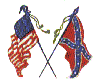 Civil War Flags