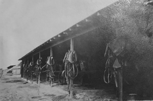 Iowa National Guard in Brownsville, TX 1916