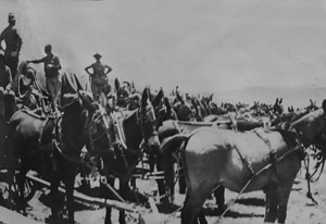 Iowa National Guard in Brownsville, TX 1916