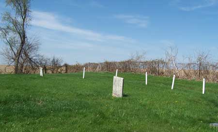 stanchions