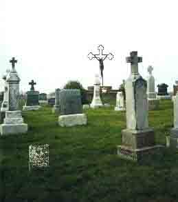 View of Sts. Peter and Paul Cemetery