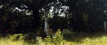 View - Buena Vista Mound Cemetery