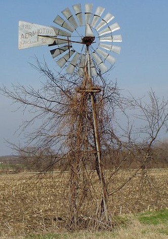 windmill.jpg