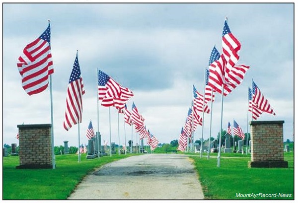 avenue of flags