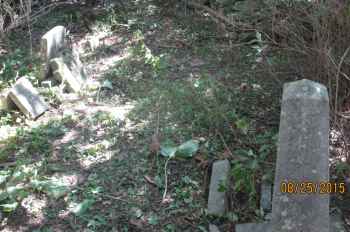 Young Farm aka Riha Farm cemetery Photo by Stacey Gossling